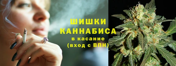 тгк Магас