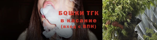 прущие грибы Майский