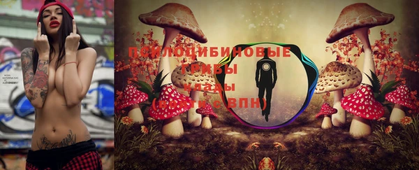 ГАЛЛЮЦИНОГЕННЫЕ ГРИБЫ Абинск